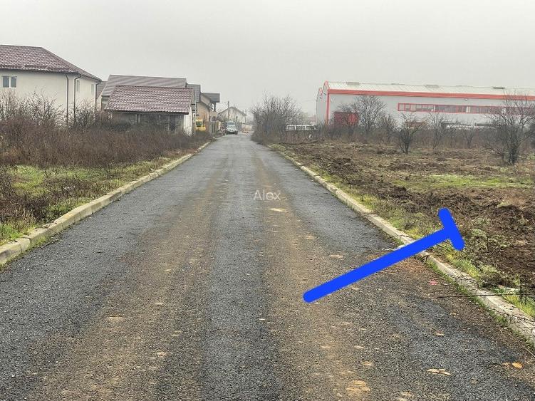 de vinzare teren 5700 mp Clinceni - 11