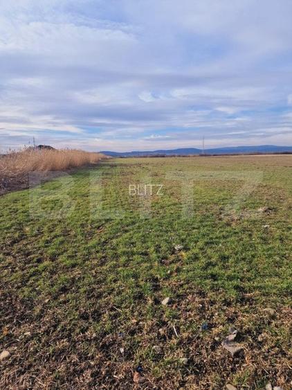 Teren intravilan, 8700mp,Prejmer - 2
