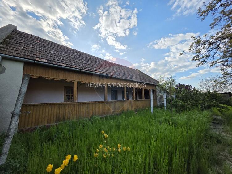Gospodarie de vanzare in Giulvaz, judetul Timis - 3