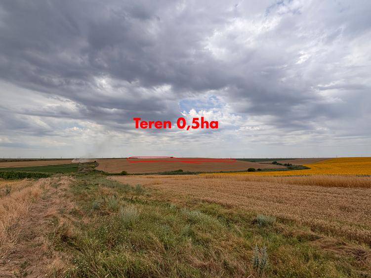 12 Ha Teren Agricol Vlad Tepes CL - Irigabil ! Acces A2!