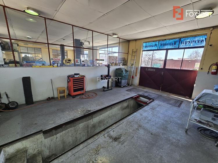 Oportunitate afacere: Spatiu industrial + Casa de locuit - Bogdanestilor - 23