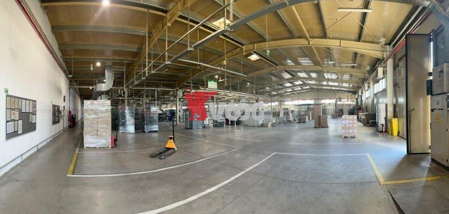 Proprietate Industriala 7000 mp hala in Calea Sagului Timisoara