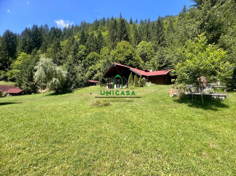 Proprietate deosebita de vanzare – Voinesița, Comuna Voineasa