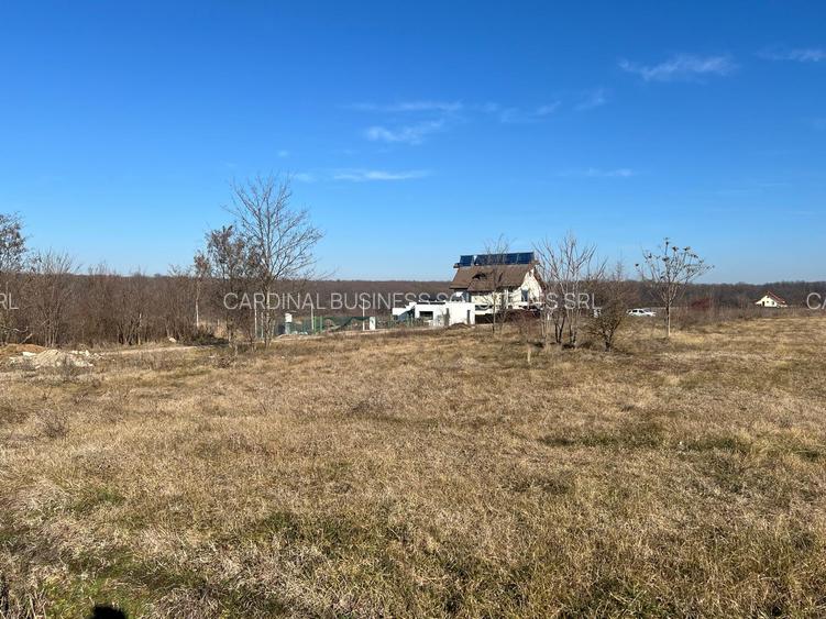 Gradistea- Ilfov, str. Nuferilor - 1000 mp - 7
