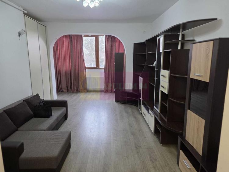 Studio 2 camere, mobilat Drumul Taberei, Valea Doftanei, Brancusi