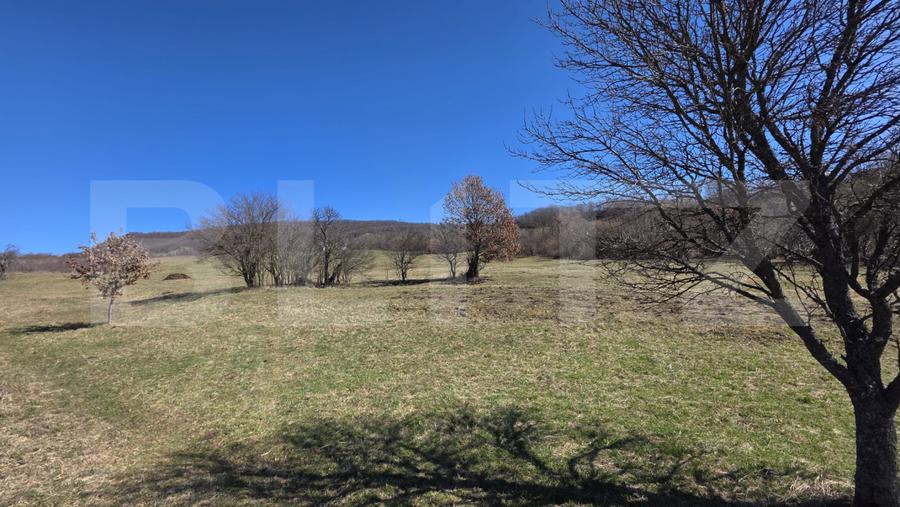 Teren de vanzare de 8,567MP in zona: Tarpiului
