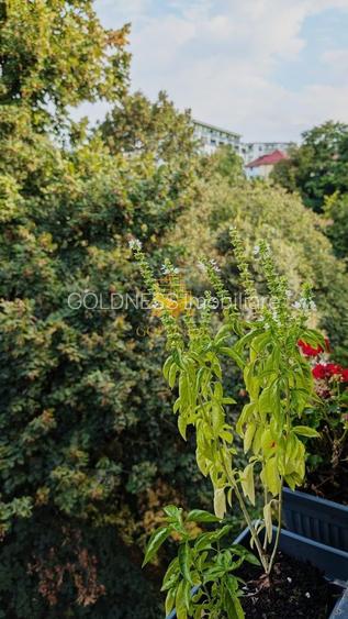3 camere, modern, garaj, parcare, Central Zona Platinia, Motilor - 7