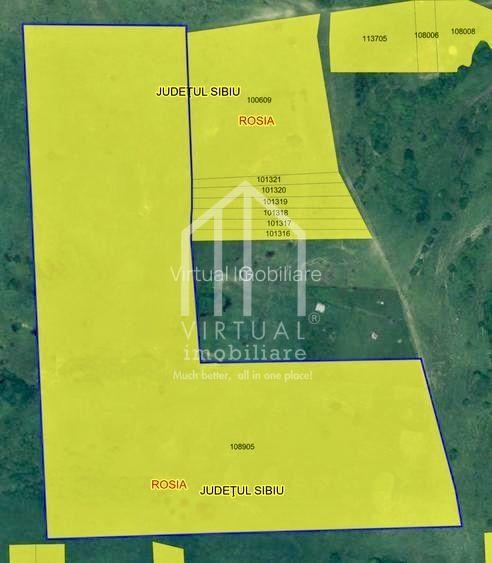 Teren de vanzare in Sibiu 67.500 mp, extravilan, Dealul Daii - 1