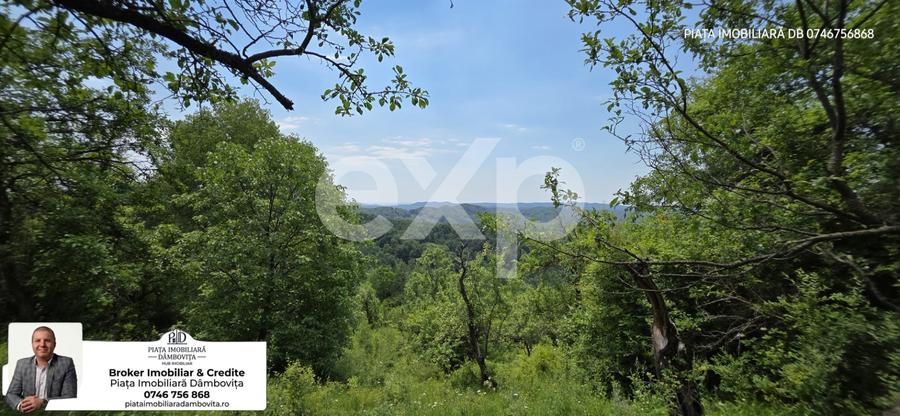 OPORTUNITATE INVESTIȚIE TURISTICĂ | Panoramă de Vis & Potențial Imens A-Frame