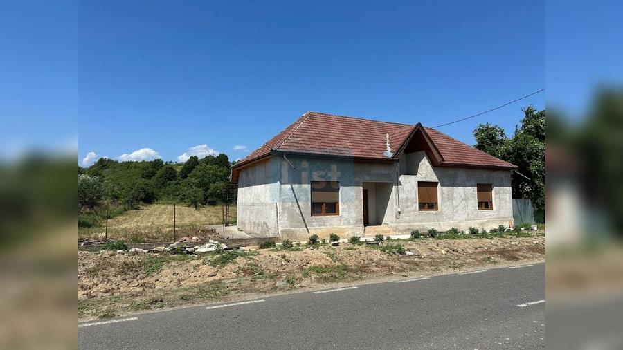 Casa intr-o zona linistita, Bucosnita