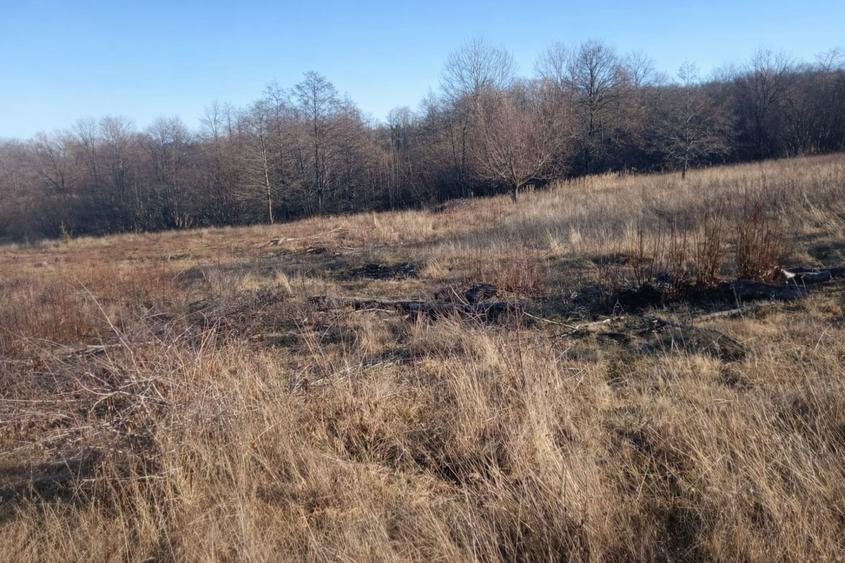 Teren extravilan | Vicovu de Jos | Preț 25.000