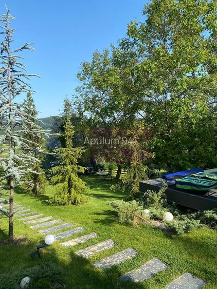 Cabane A frame + Teren 6000 mp |  Proprietate deosebita, NOU - 8
