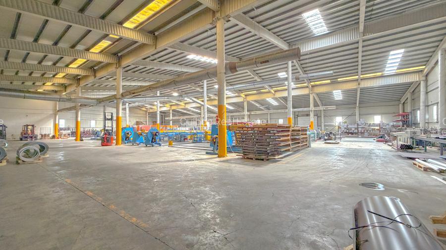 Hala Logistică / Producție de Vânzare | DN13 | Post Trafo Propriu - 2