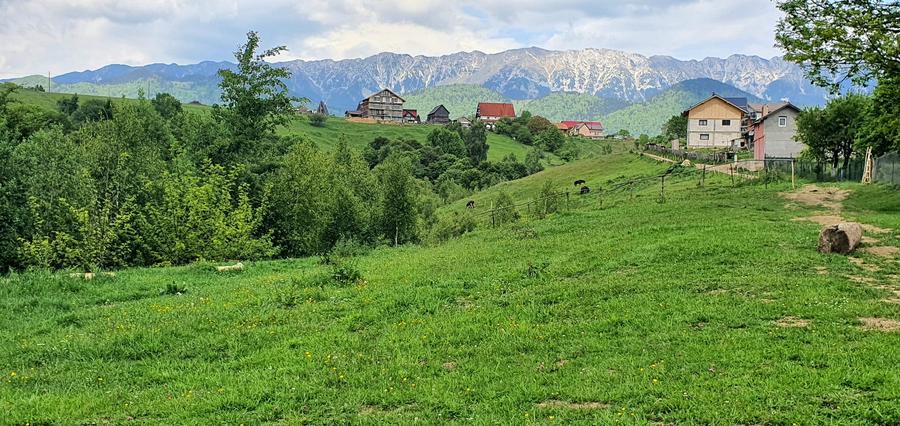 Teren pentru casa de vacanta , Pestera , Brasov