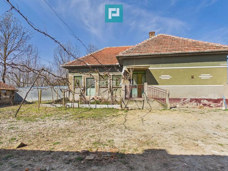 Casă cu teren de 6000 mp în Duboz, Timiș - 11