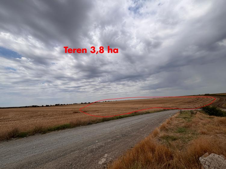 12 Ha Teren Agricol Vlad Tepes CL - Irigabil ! Acces A2!