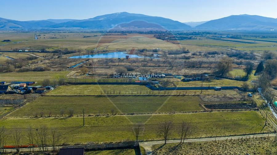 Pret imbatabil in zona: Teren Intravilan 5.000 mp Prejmer - 9