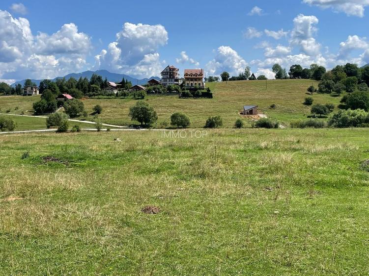 INVESTIȚIE | Teren 5000 mp PUZ APROBAT intravilan - zona Sohodol -Bran - 8