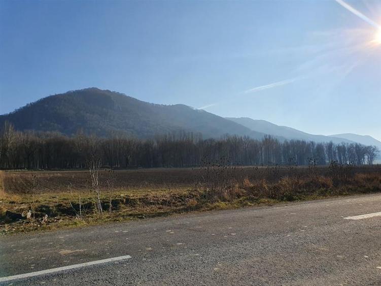 Vanzare Teren intravilan Str. Cucului, zona Bartolomeu 18600 mp