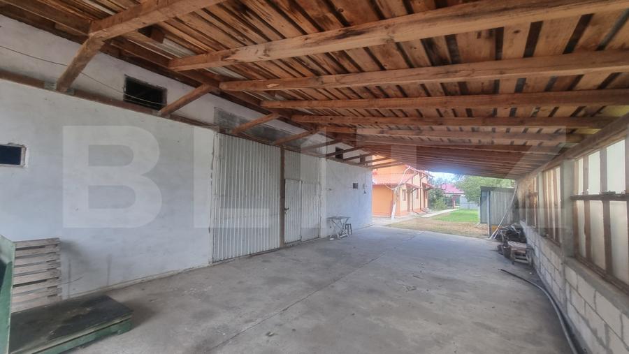 CASĂ P+M + TEREN 3.000 MP | BELCIUG, DRĂGĂNEȘTI | 3 KM DE A3