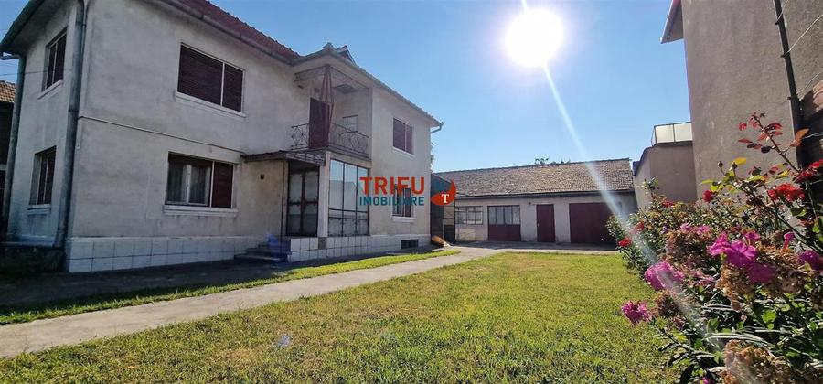 Casa 5 camere 743 mp teren Sebes