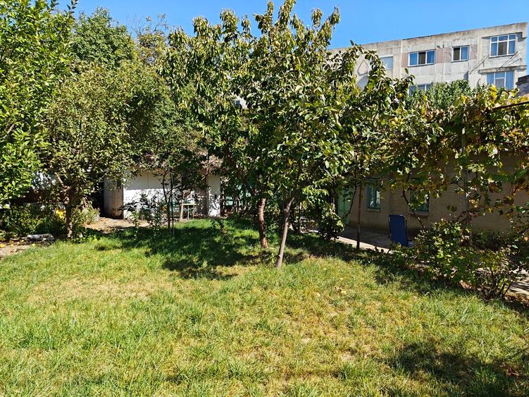 VANZARE TEREN MANGALIA