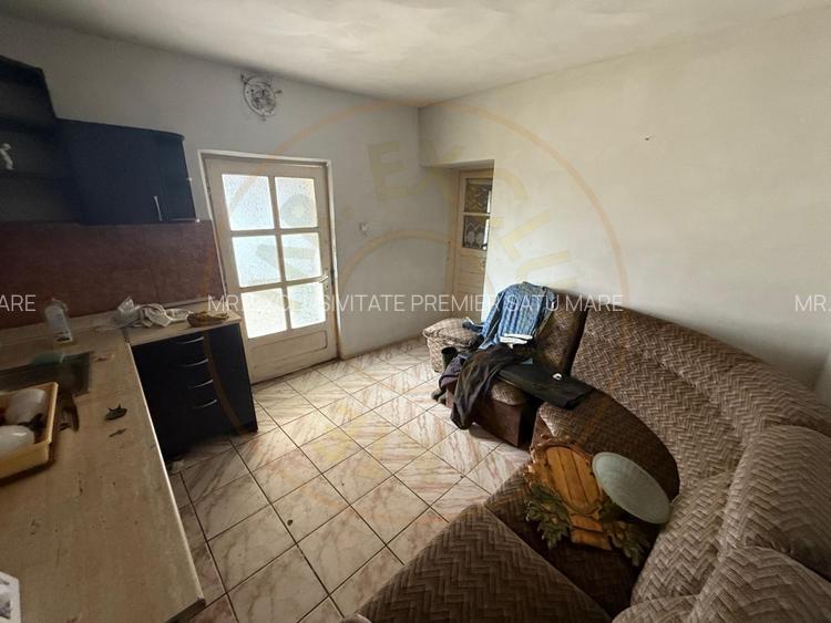 Casa de vânzare in Livada , Satu Mare - 5