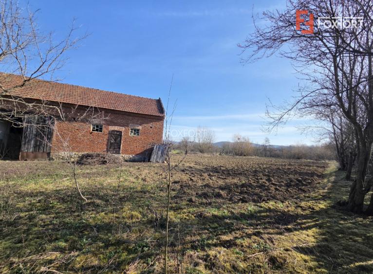 Casa individuala cu 1440 mp teren, 4 camere, Barzava, Lalasint - 3