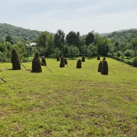 Teren vanzare in comuna Adunati - zona BREAZA - Prahova