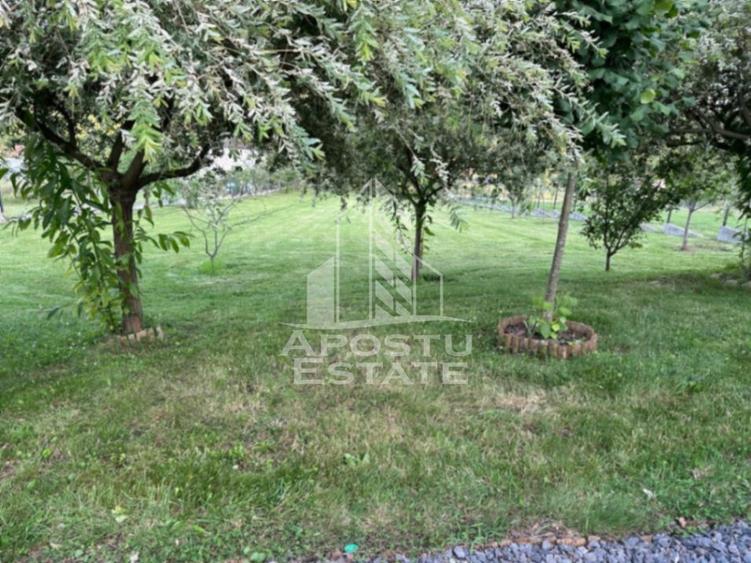 Casa de vacanta cu. teren 31.300 Nadas, 38 km de Timisoara.