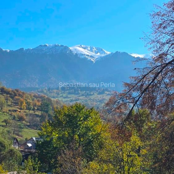 Oportunitate.Casă de locuit/casă de vacanță Bran Poarta
