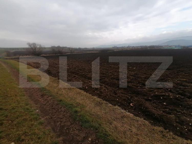 Teren intravilan 21300 mp zona Vintu de Jos