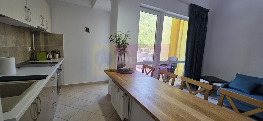Apartament de vanzare in Sinaia cu view superb