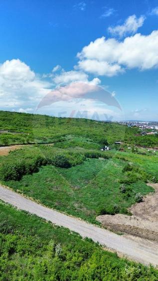 Teren intravilan de vânzare – 4.000 mp, Vișan