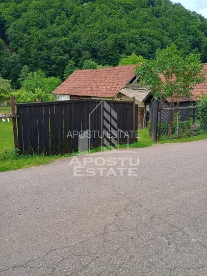 Casa batraneasca de vanzare, 4 camere, in Hunedoara, sat Micanesti - 22