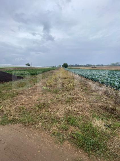 Teren de vanzare, 4700 mp, Strada Brazilor