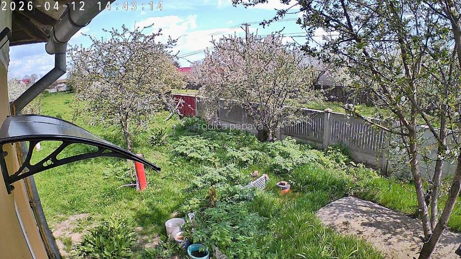 Proprietar,casa renovata ,teren 2000 mp deschidere 113 m,Farcasele Olt - 10