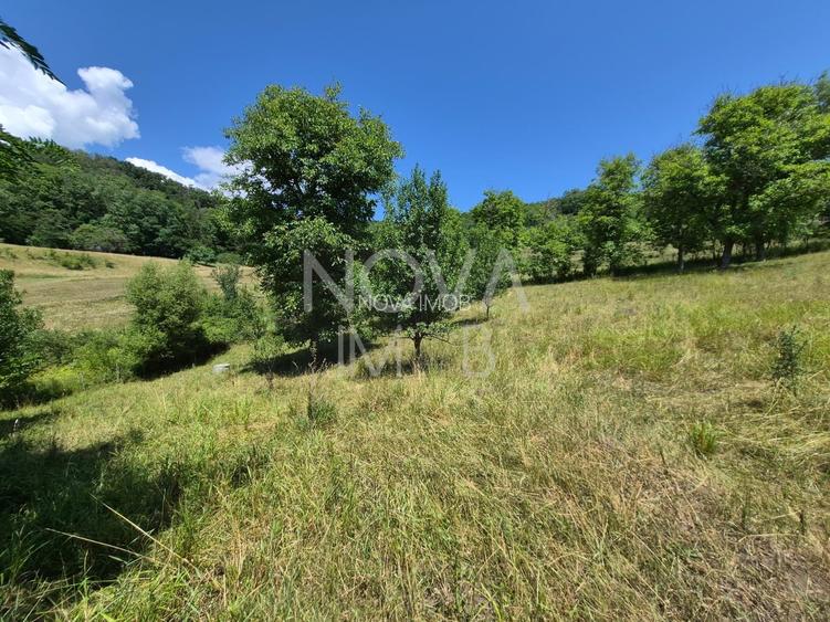 Casa individuala cu teren generos – 8.356 mp – Tichindeal, jud. Sibiu - 45