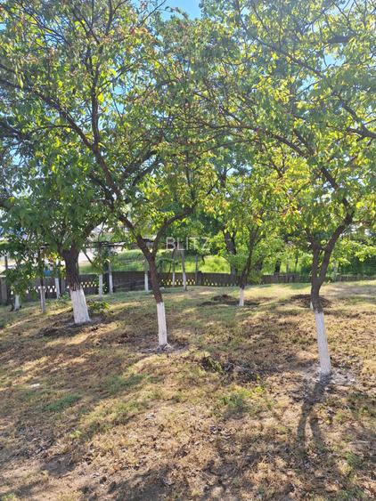 Casa de vanzare cu teren generos de 1.686 mp, Comuna Calarasi, Dolj - 18