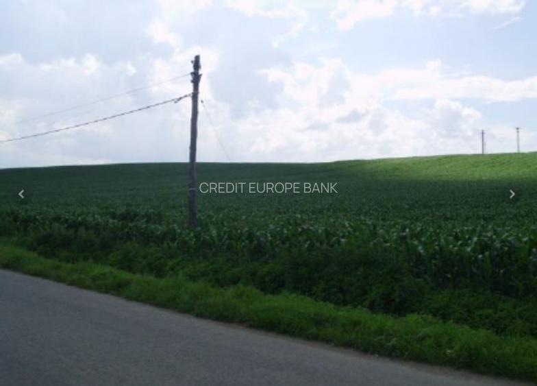 Teren Construcții intravilan de 27700 mp, în Iernut - 5