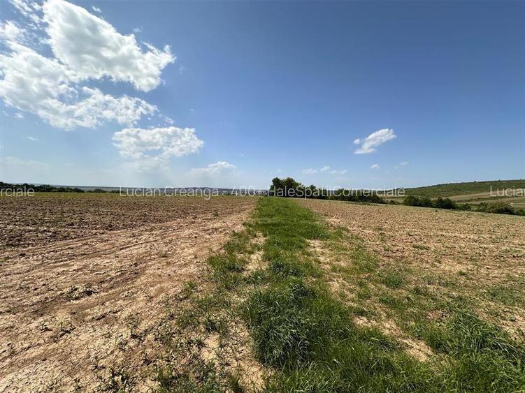 Teren langa padure pentru casa, Cercu, Barnova, de la 500mp la 4000mp - 8