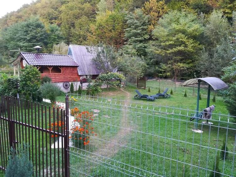 Iaz de vanzare in Apuseni- cazare, agrement si pescuit la DN74