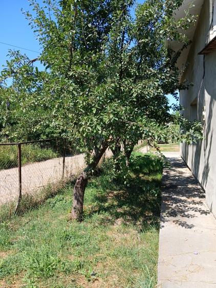 🏡 Casă de vânzare – Lunca Cetățuii, comuna Ciurea
