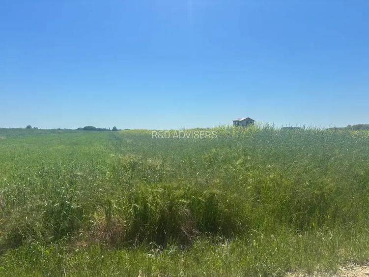 Loturi teren 500 m P+1+M Berceni - Vidra Actele la zi Puz valabil - 5