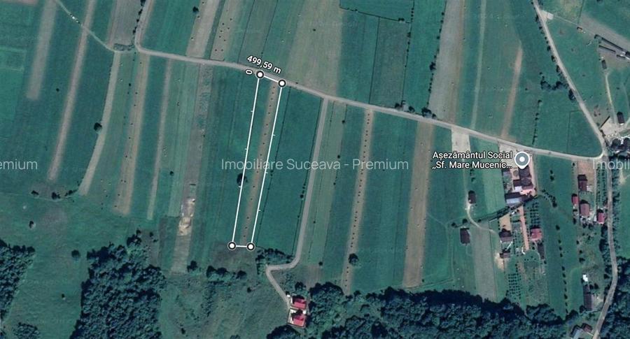 Teren 5886 mp In Bucovina - Bucsoaia! De Vanzare! 0727817187 - 13
