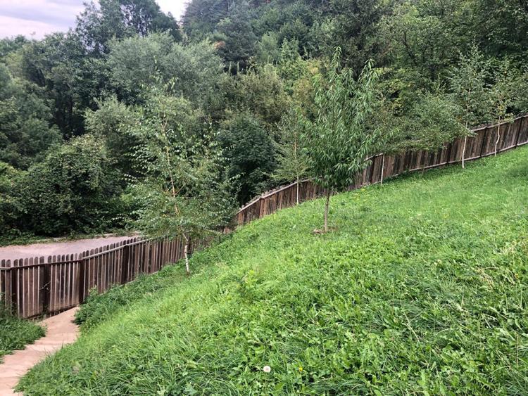 De vanzare teren unic in Brasov (vedere panoramica asupra orasului)