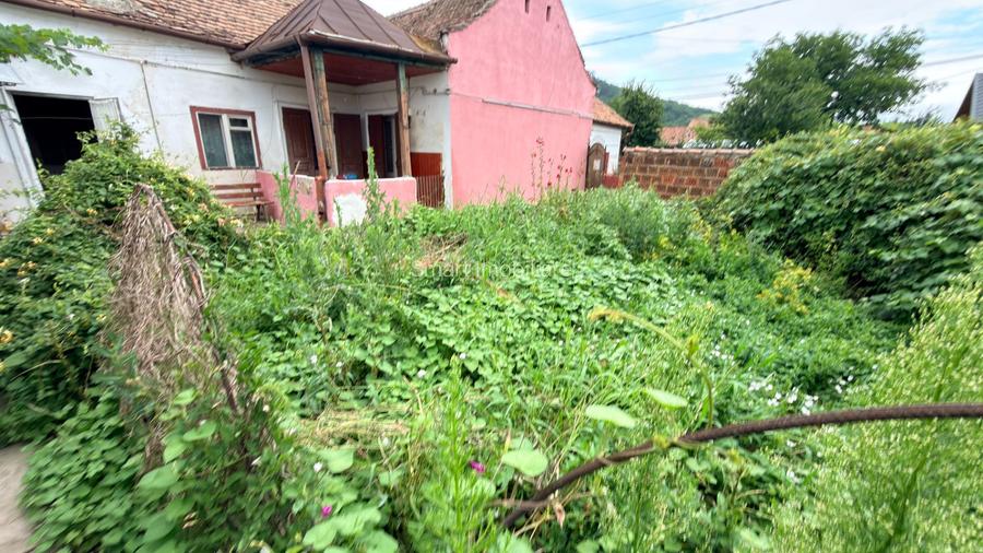 Casa 3 camere str. Mica Dumbraveni - Sibiu - 11