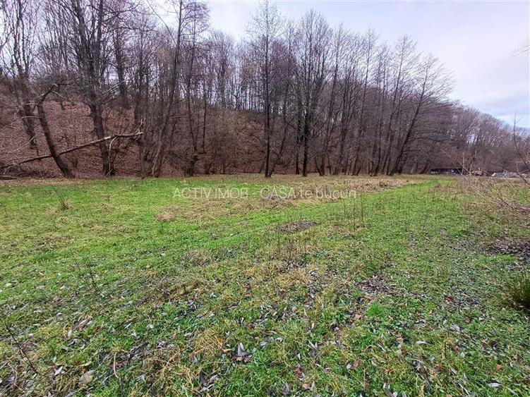 Resita, Teren Drept Intravilan, Langa Prau si Drum, Parcelabil, 4500 Mp., 15 Eur - 14