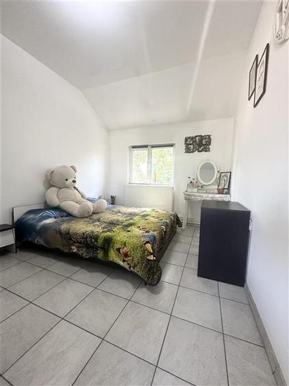 Casa cu Potential Multiplu, Pretabila Pentru Doua Familii sau Business, Chiar la