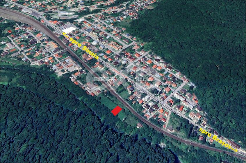 Teren intravilan în Bușteni, cu vedere spectaculoasă spre Crucea Caraiman - 7